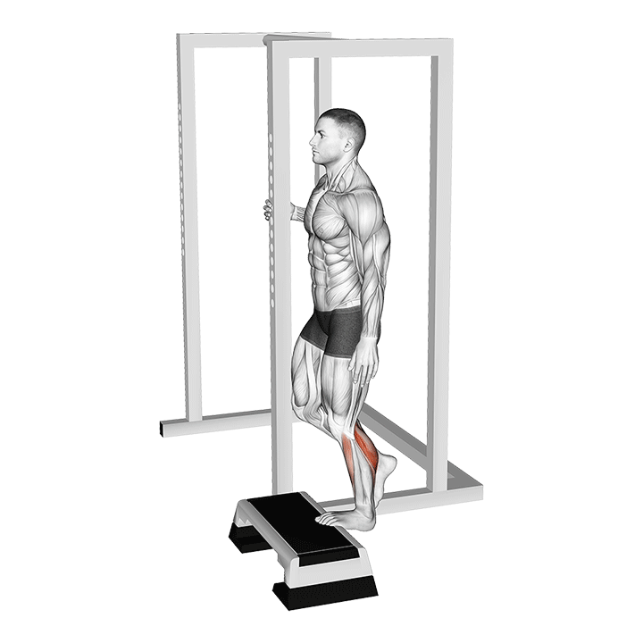 single leg calf raise