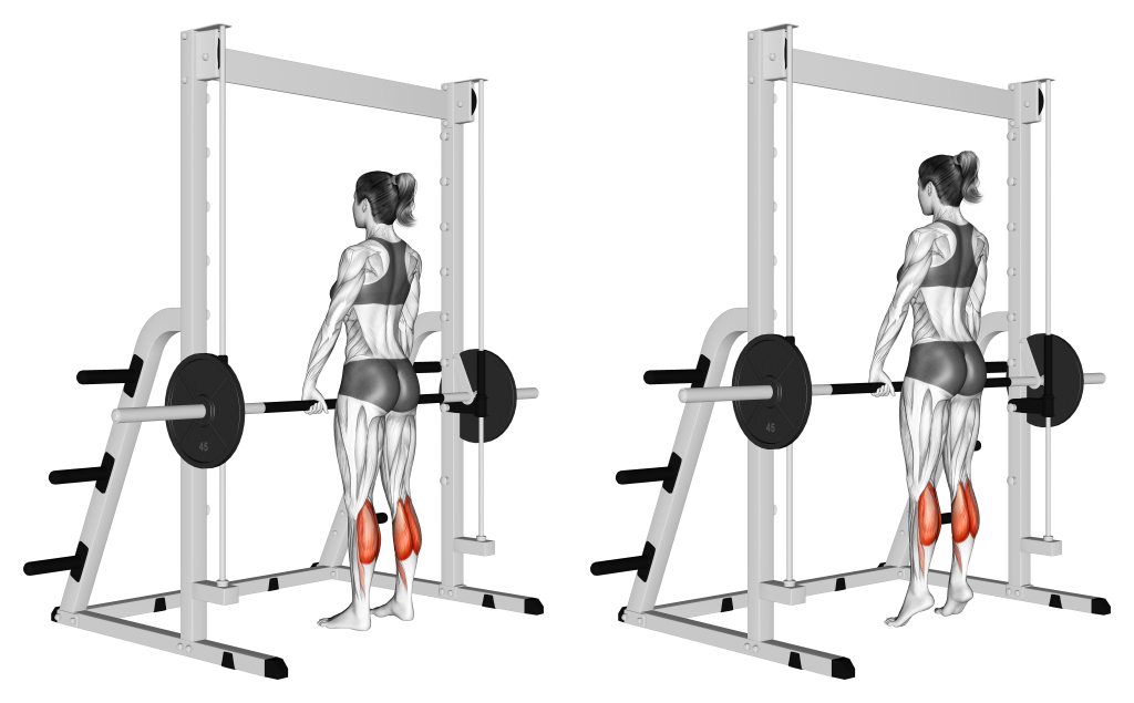 smith machine calf raise