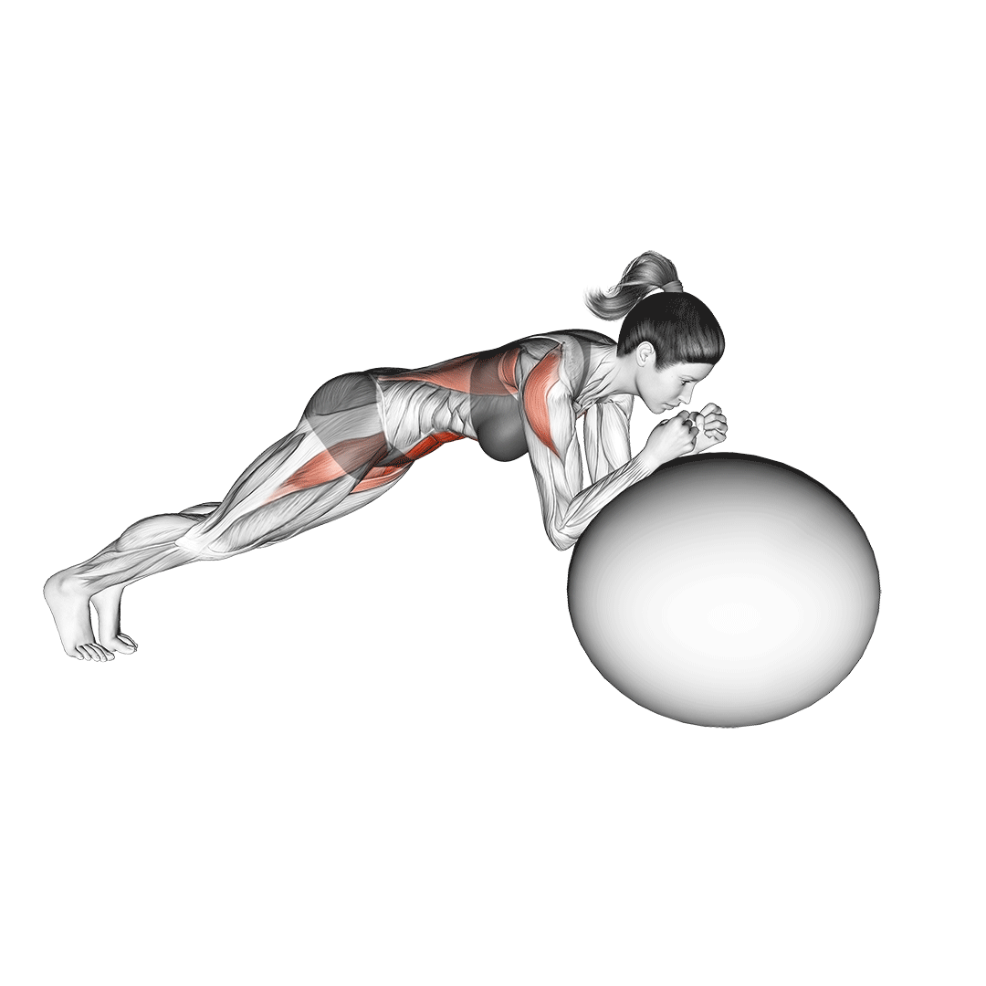 stability ball rollout
