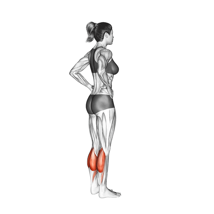 standing calf raise