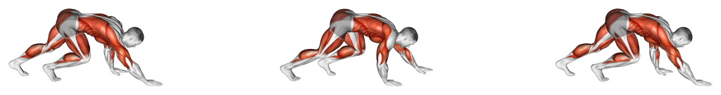 bear crawl benefits