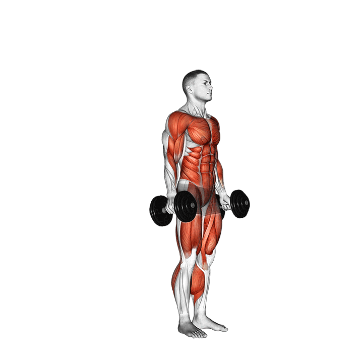 dumbbell burpee movement