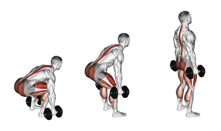dumbbell neutral grip deadlift