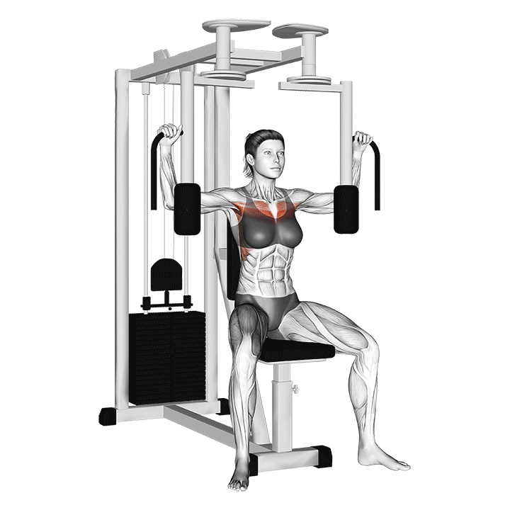 pec deck machine movement