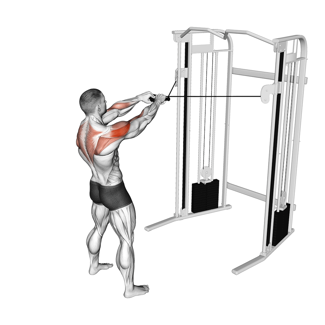 cable face pull
