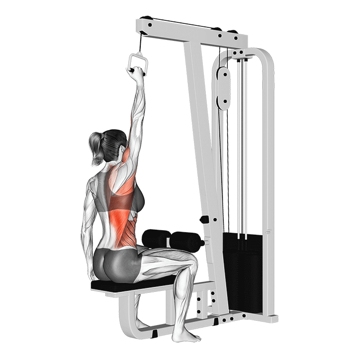 cable one arm lat pulldown