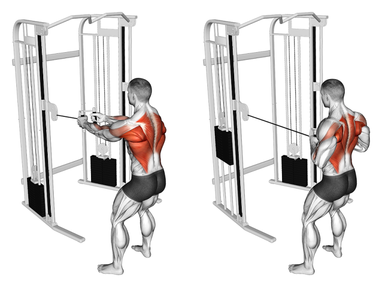 10 Best Upper Body Pull Exercises (with Pictures!) - Inspire US