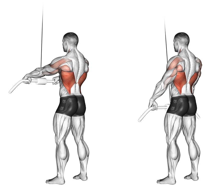 cable straight arm lat pulldown