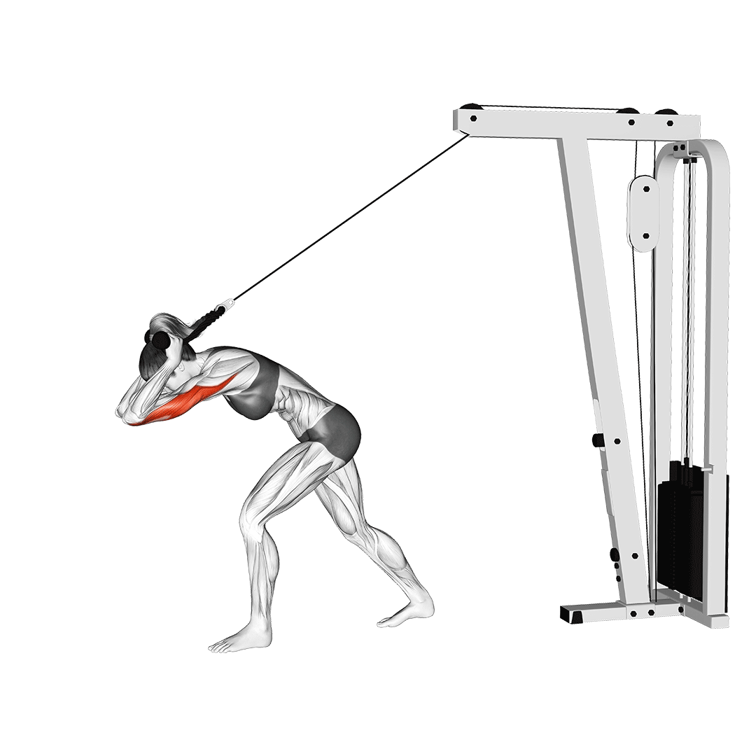 cable tricep overhead extensions