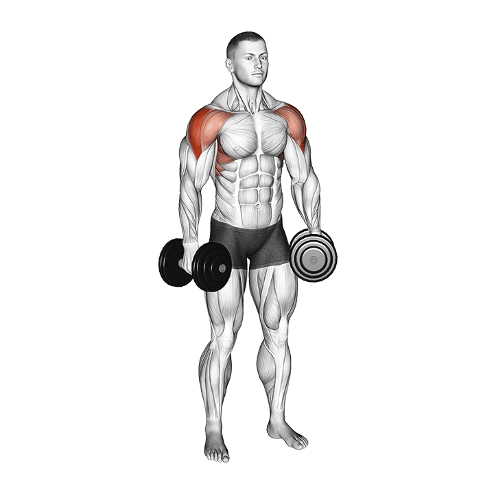 dumbbell lateral raise