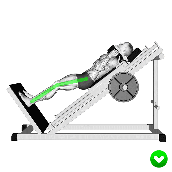hack squat bad form