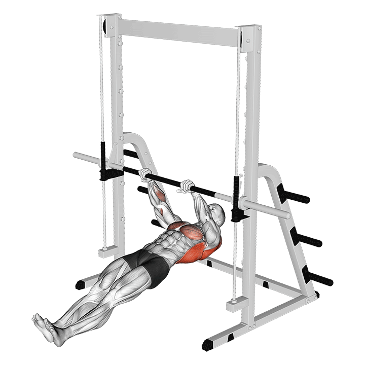 inverted row