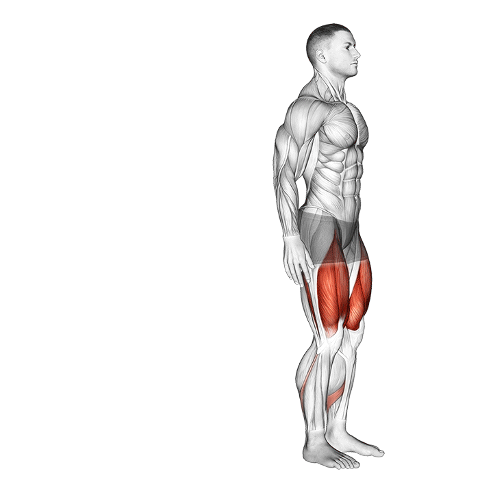 reverse lunge