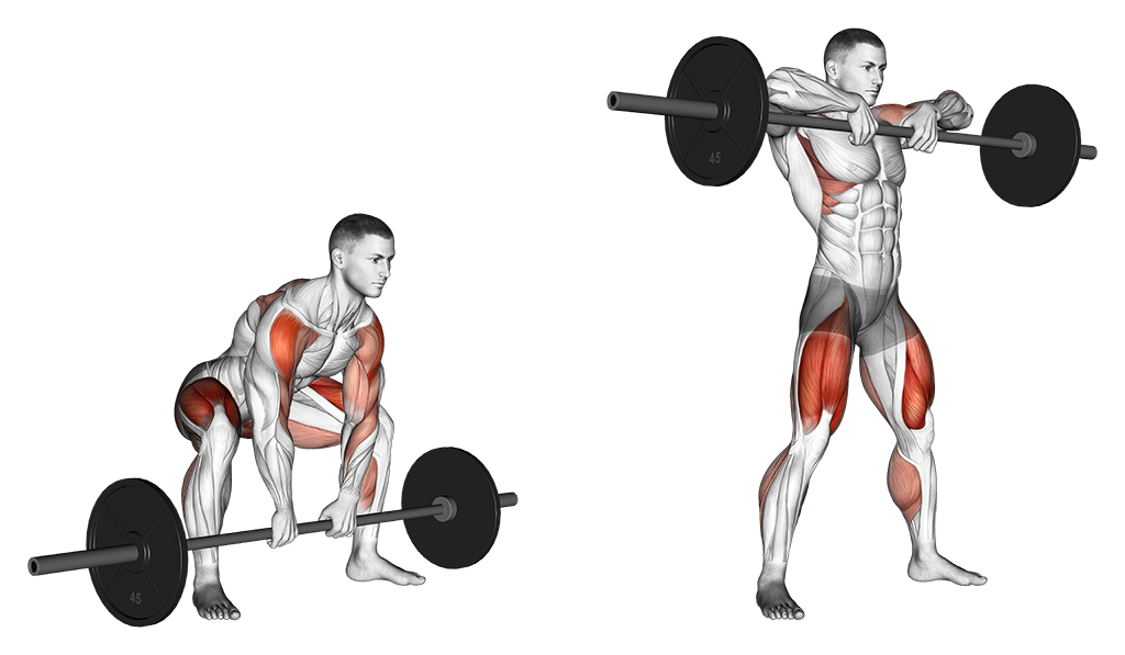 sumo deadlift high pull