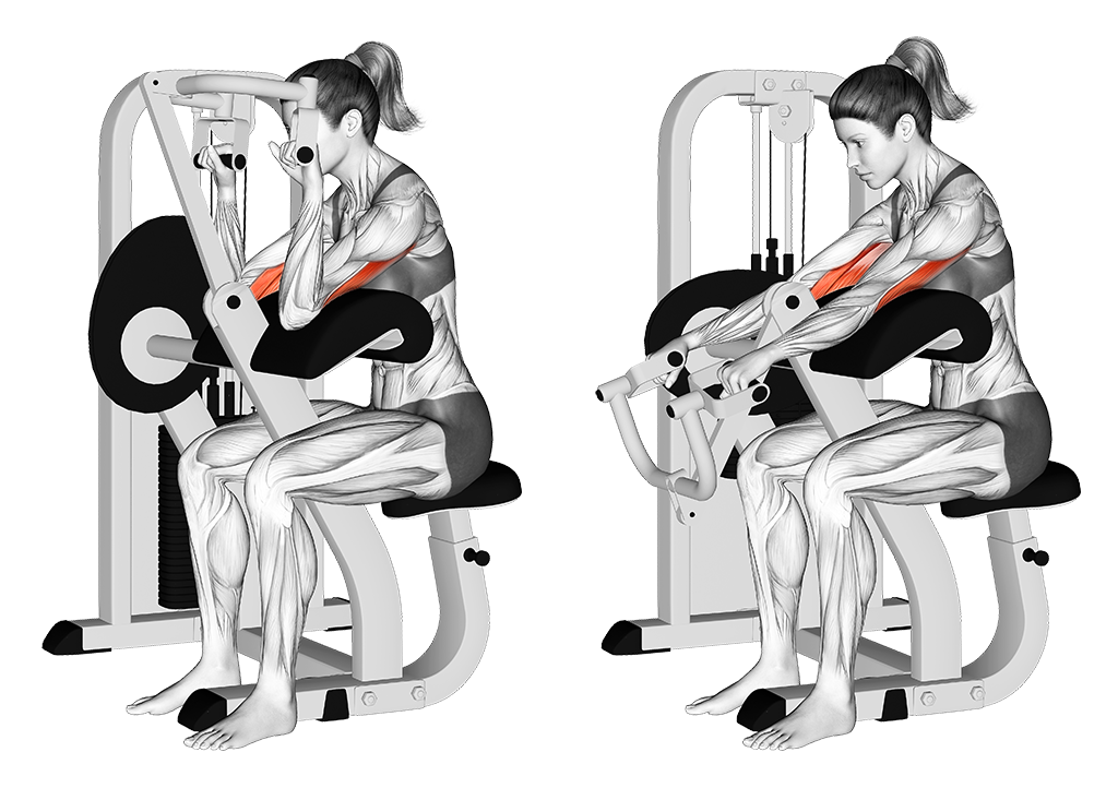 tricep extension machine