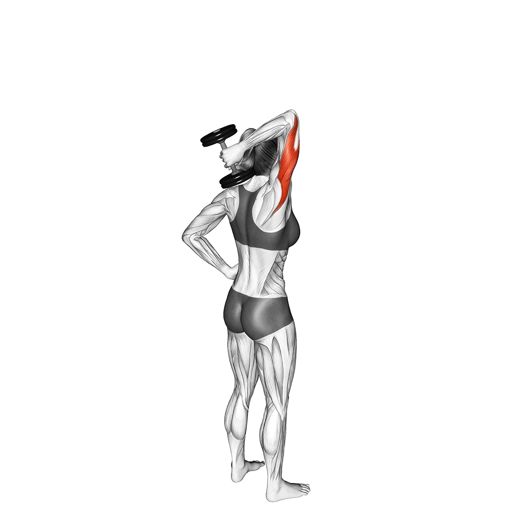 tricep overhead extensions