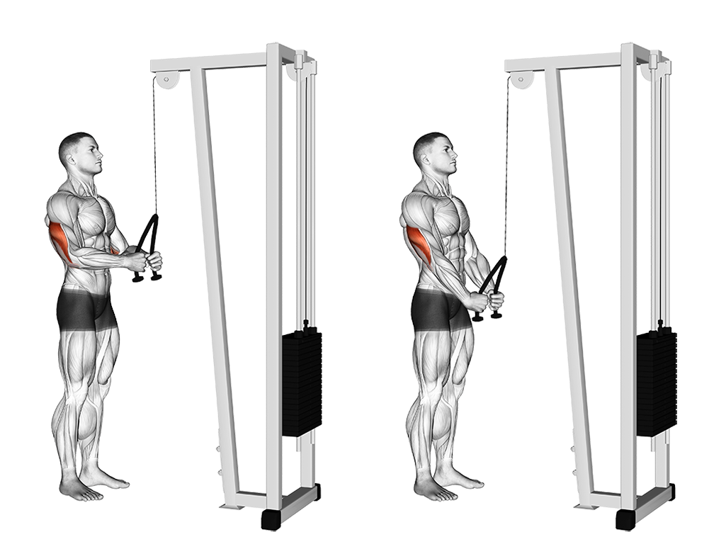 tricep pushdown substitutes
