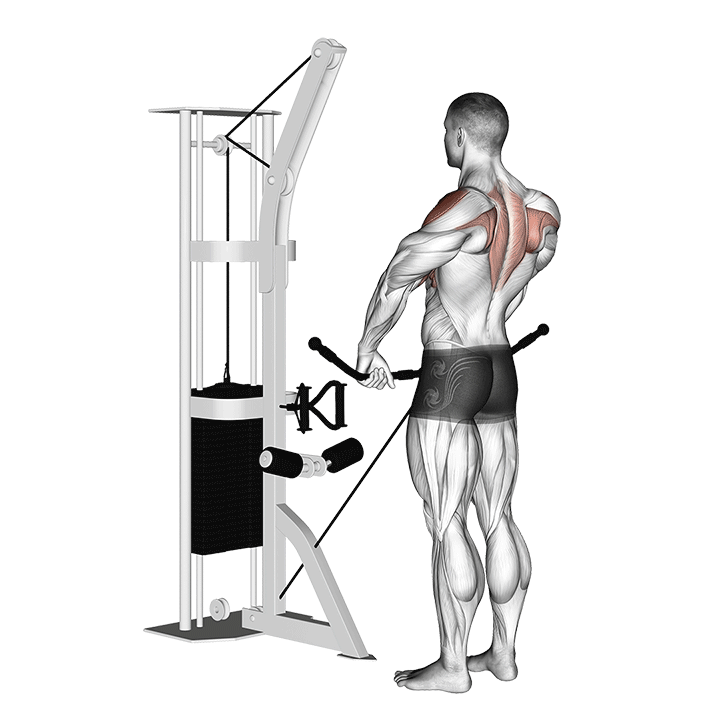 upright cable row