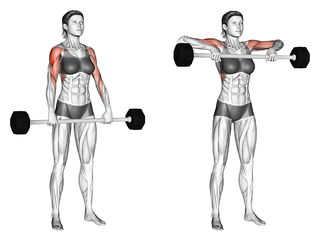 upright row