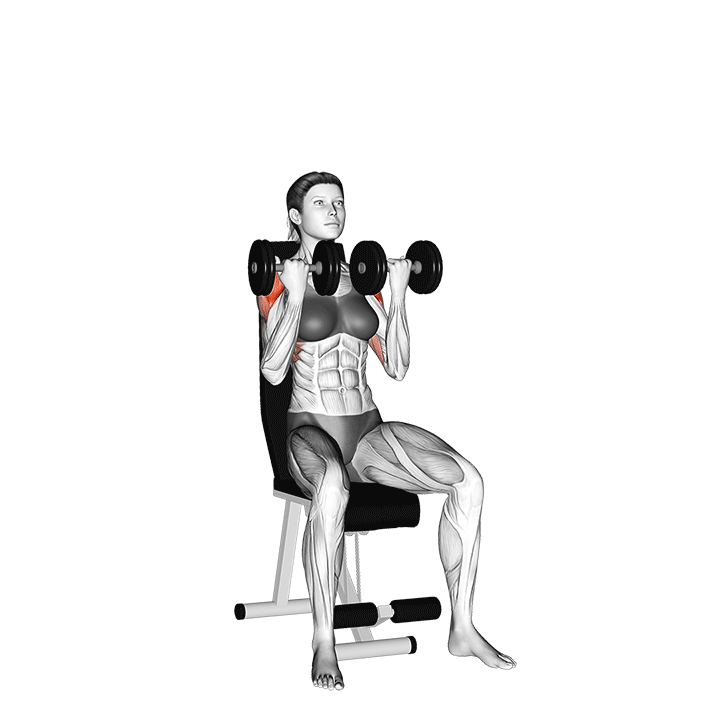arnold presses