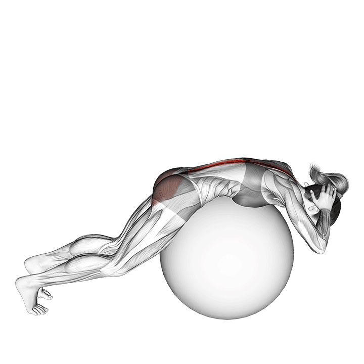 exercise ball back extension