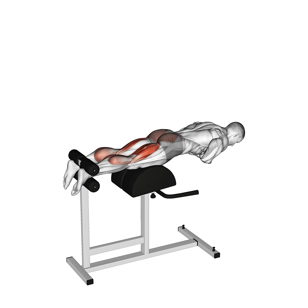 glute ham raise muscles