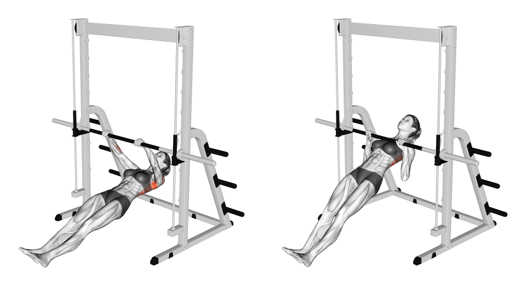 inverted row movement