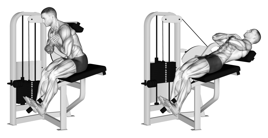 lever back extension