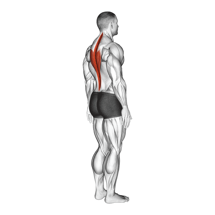lumbar spine extension