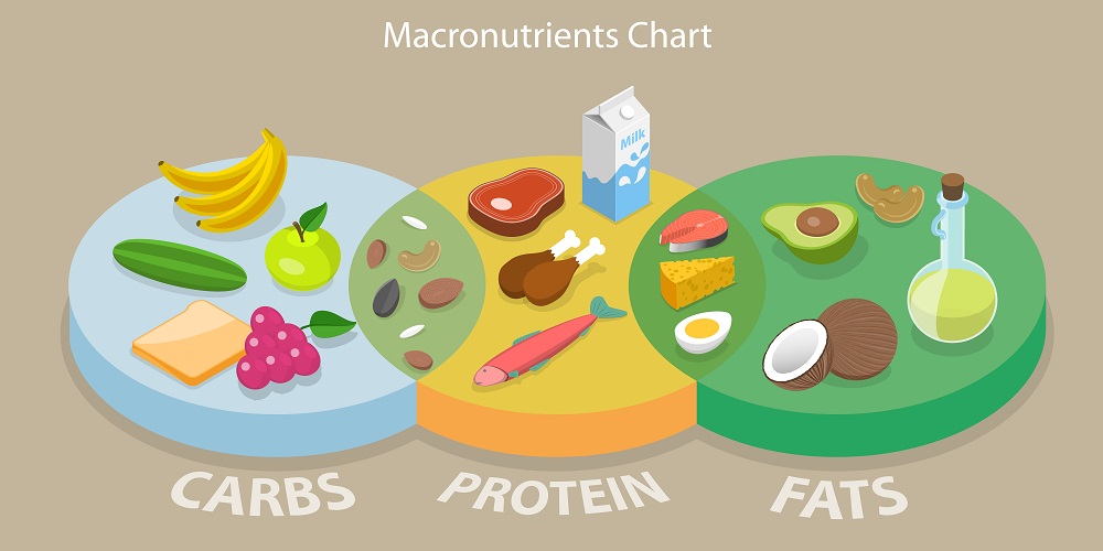 macronutrients