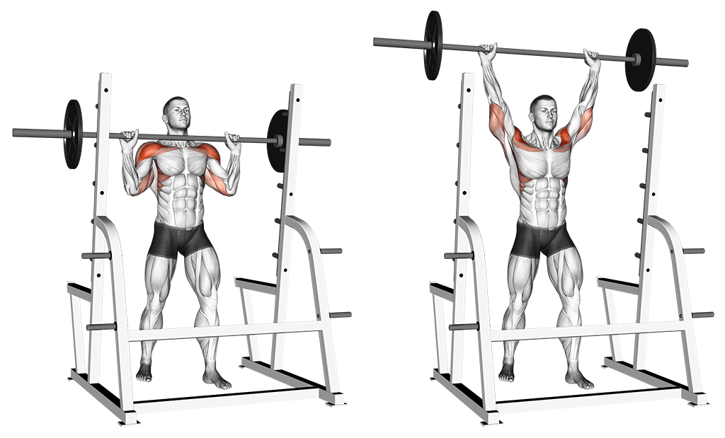 standing military press