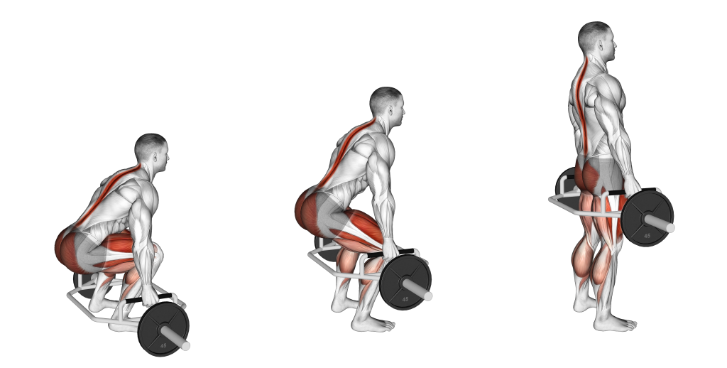trap bar deadlift muscles