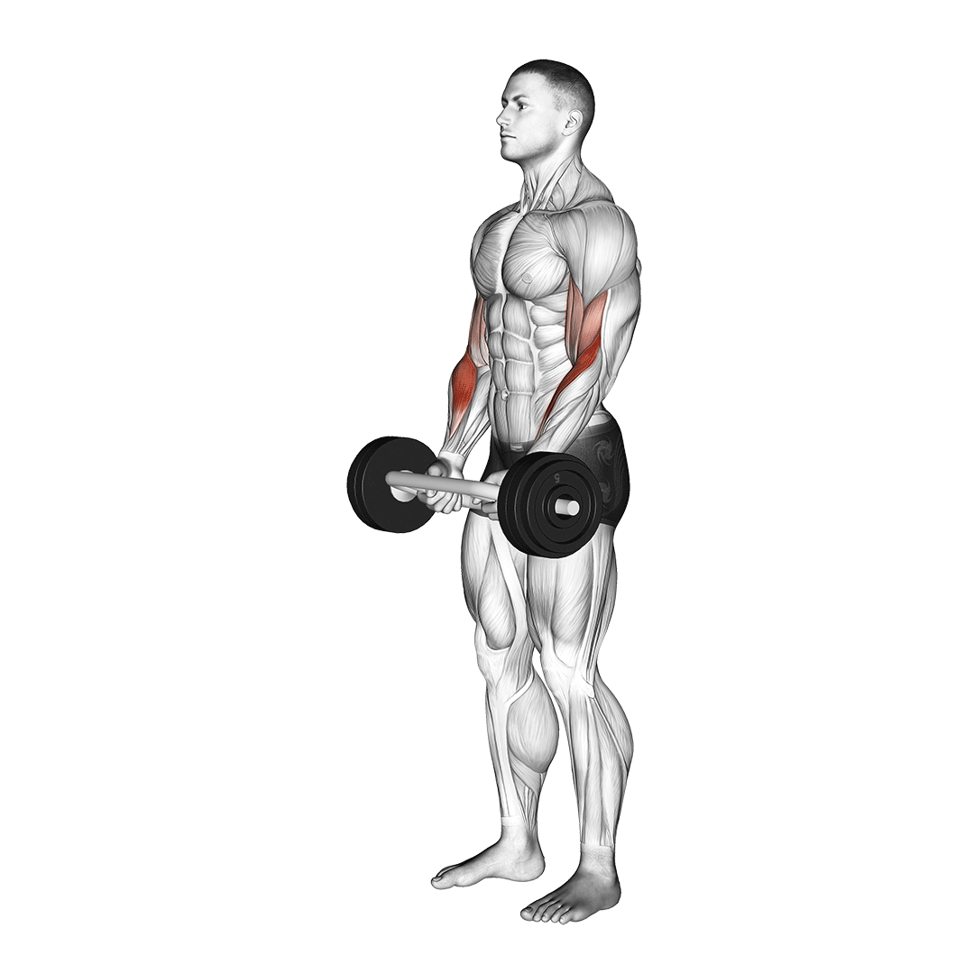 tricep bar hammer curl