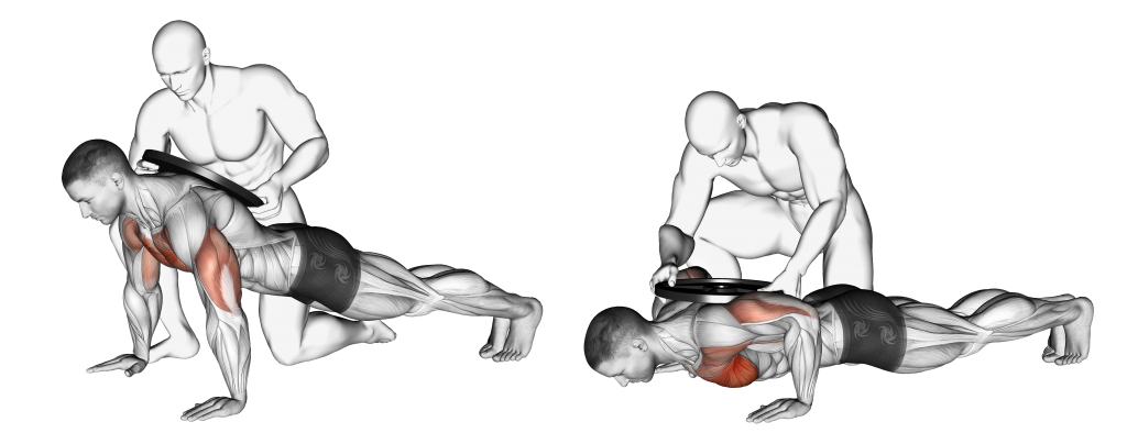 assisted weighted push up