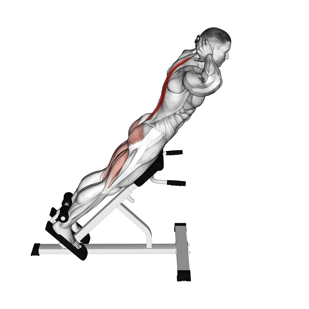 back extension