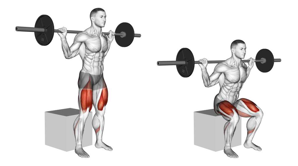 barbell box squat