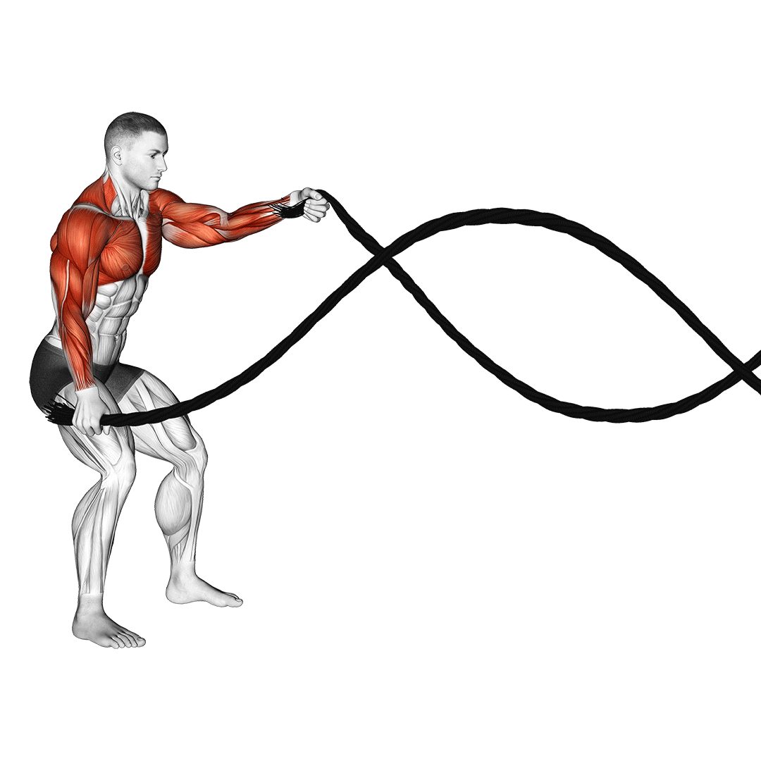 battle ropes exercises