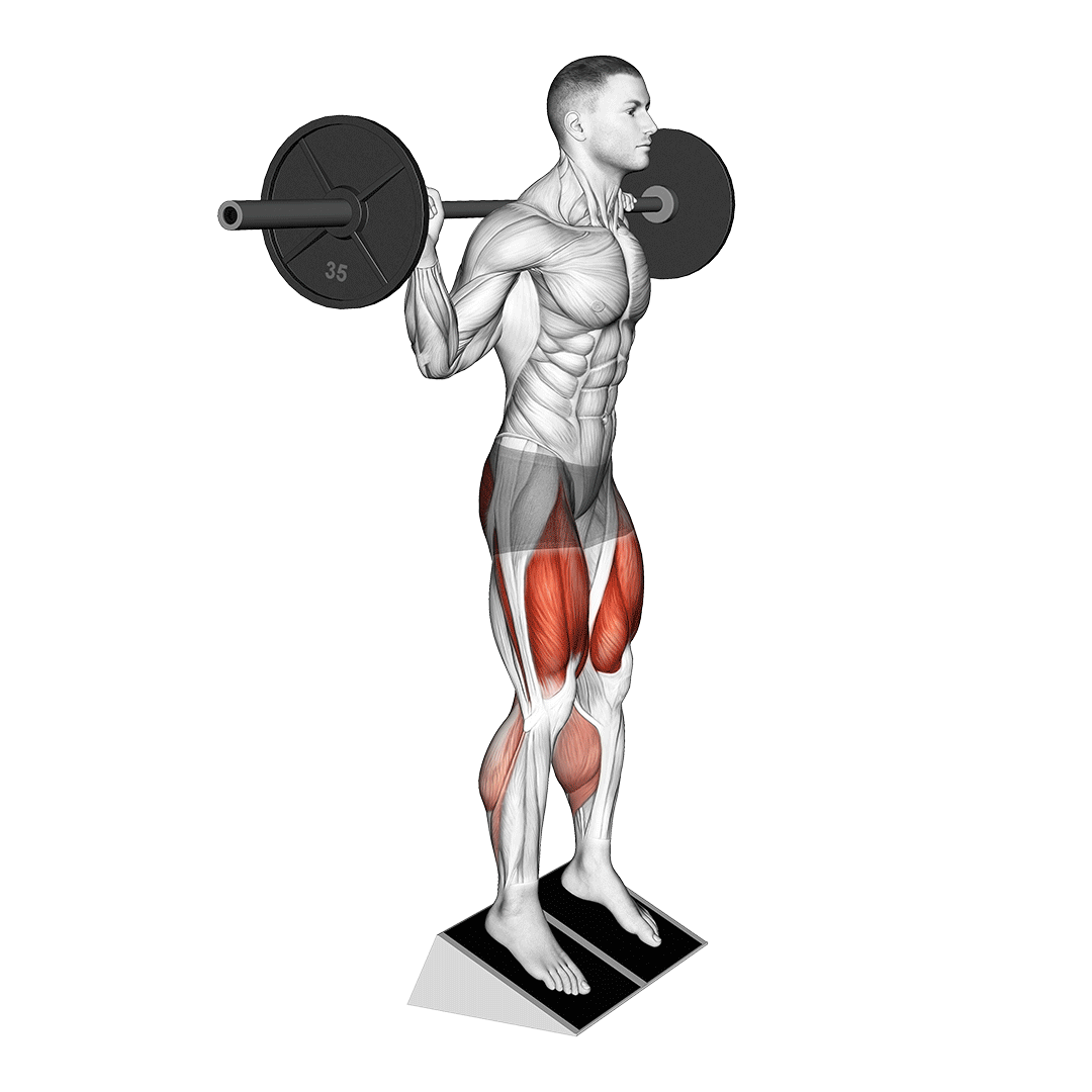 heel elevated squat muscles used