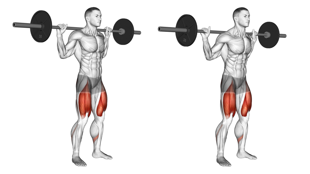 high bar and low bar squat