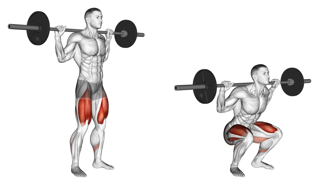 high bar squat