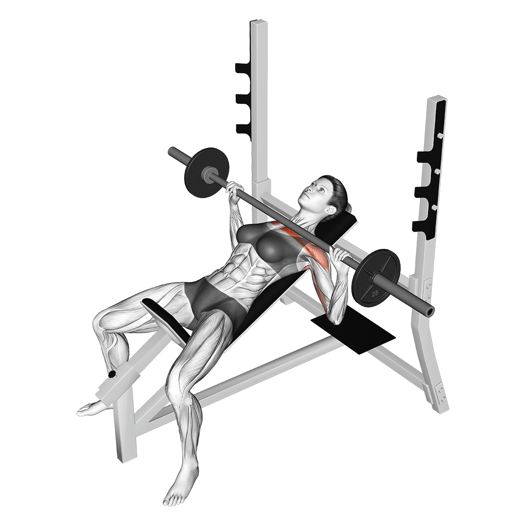 incline barbell bench press