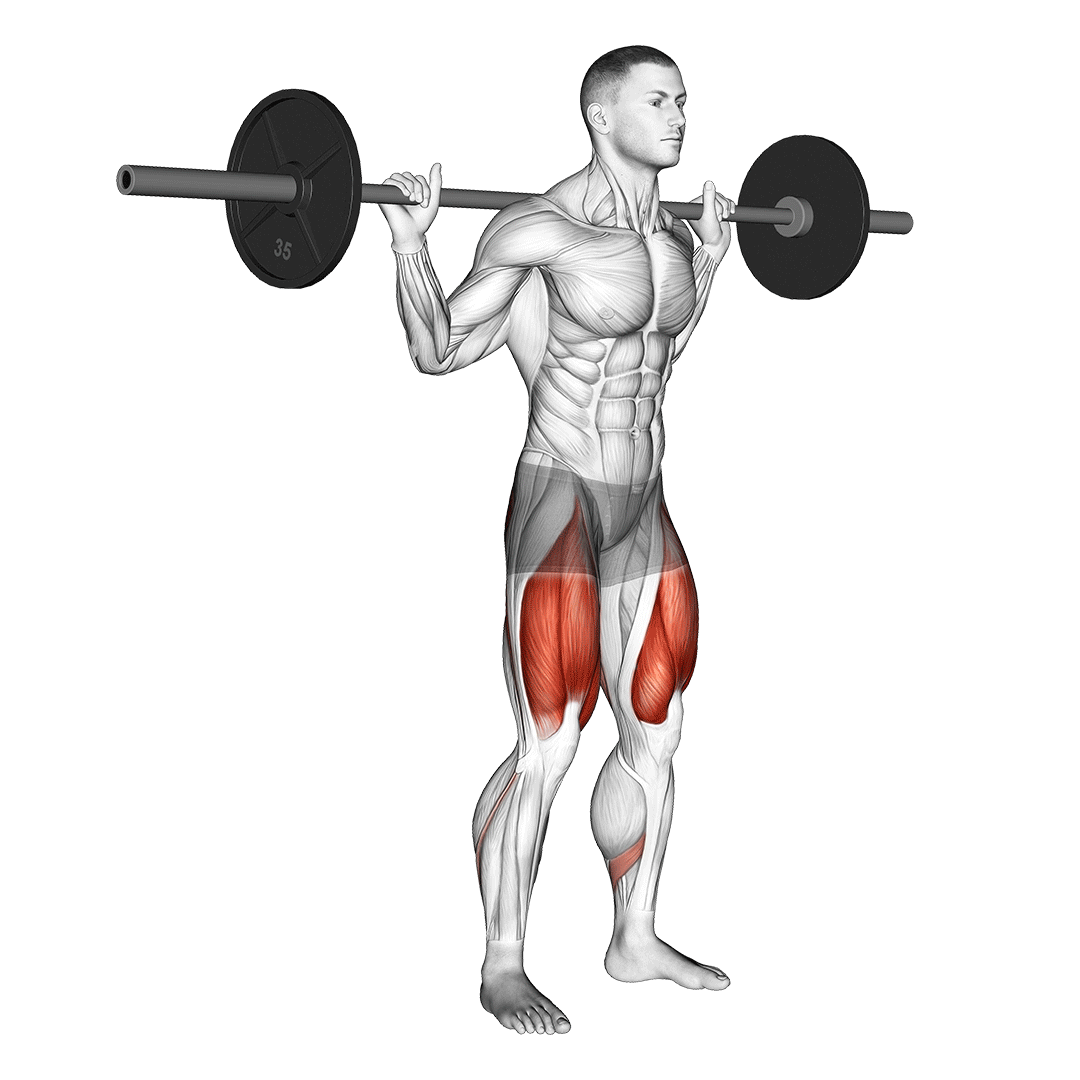 low bar squat form