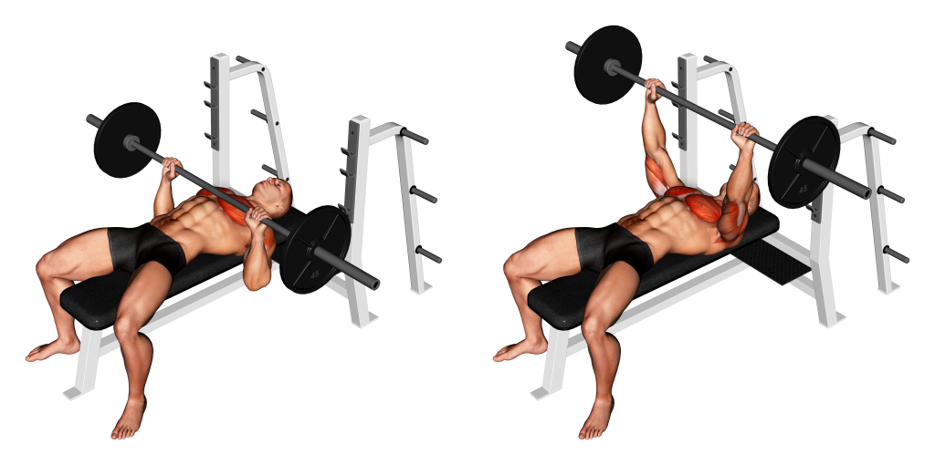 barbell bench press