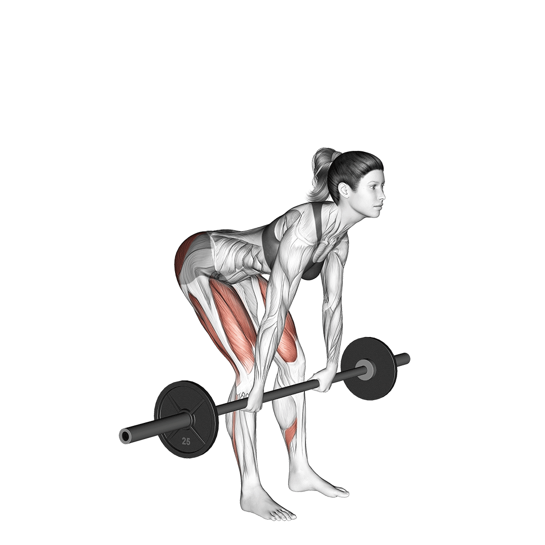 barbell Romanian deadlift movement