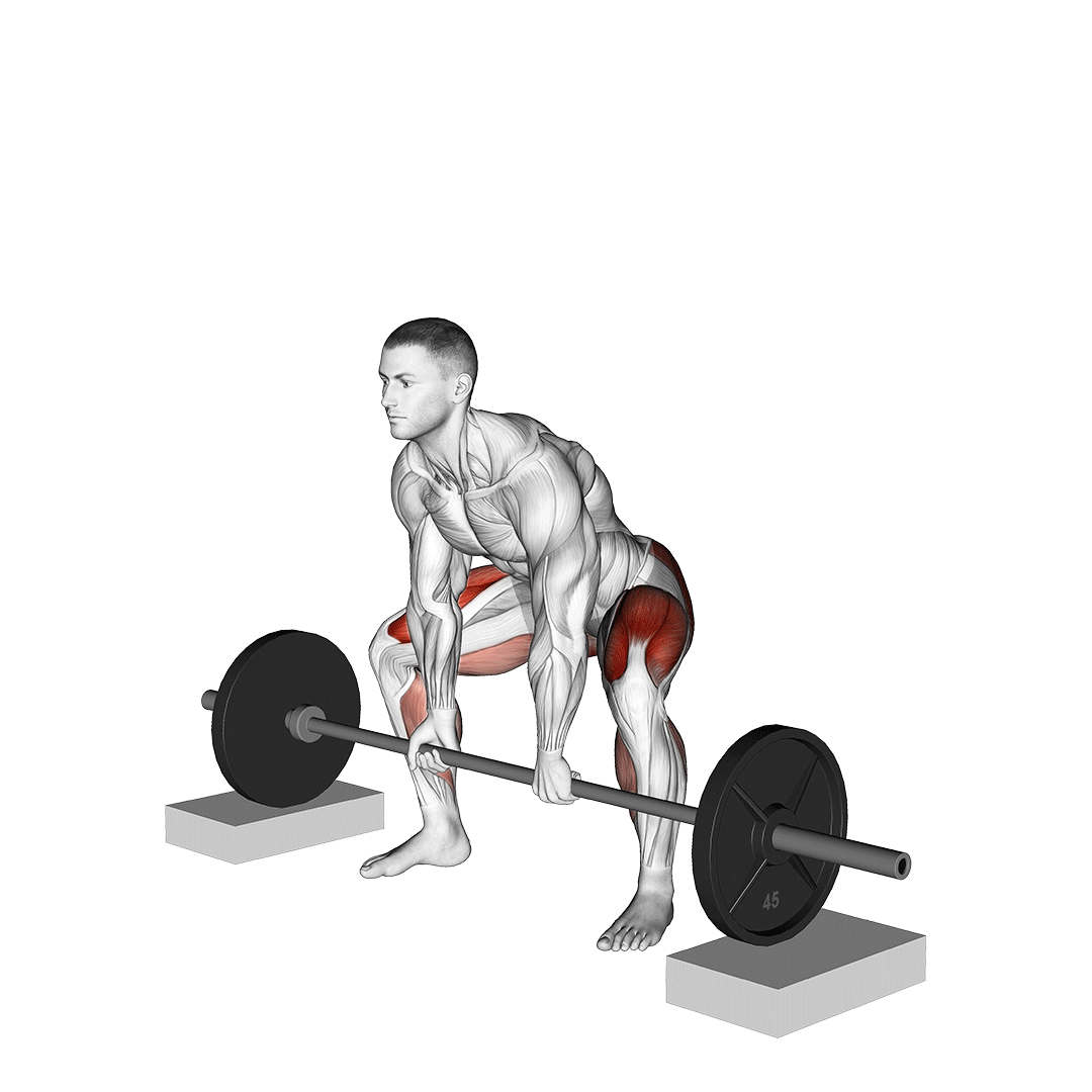 block pull deadlift