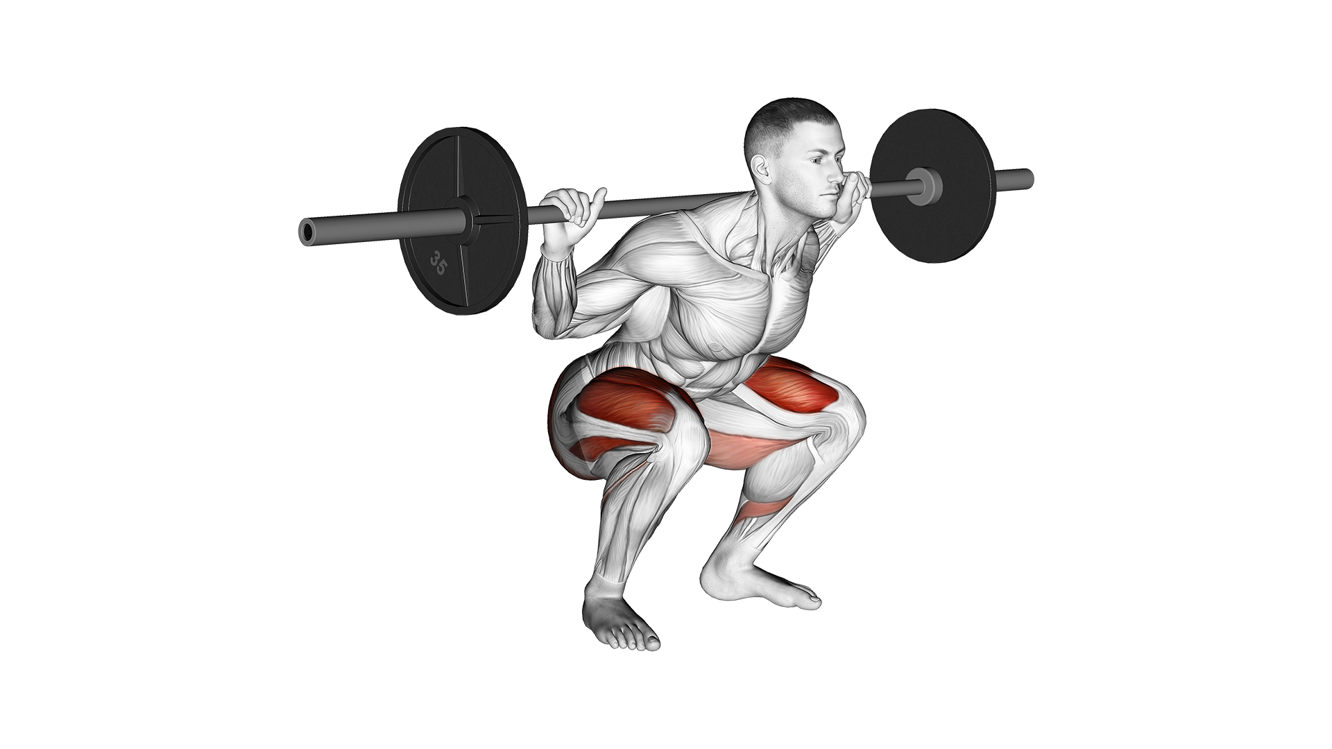example squat depth
