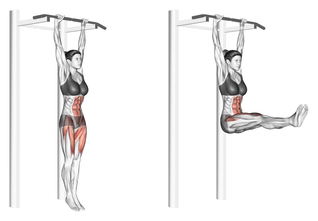 hanging leg raise