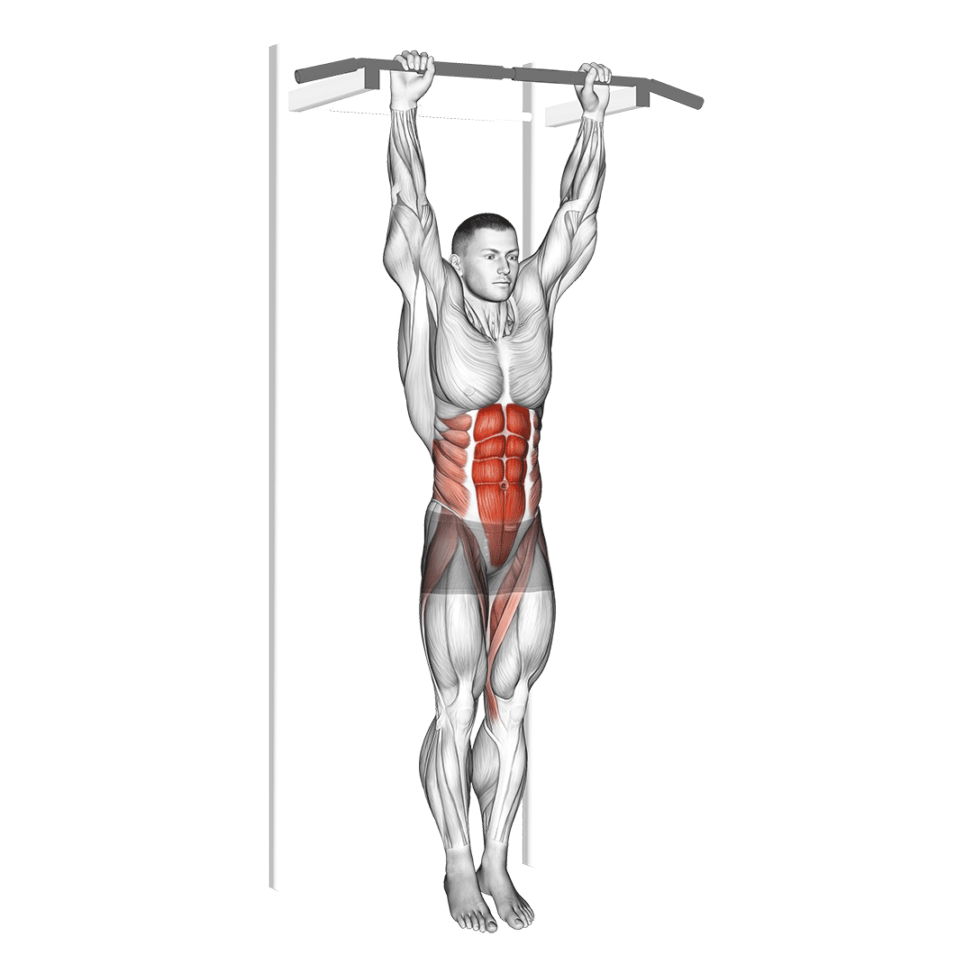 hanging leg raise movement