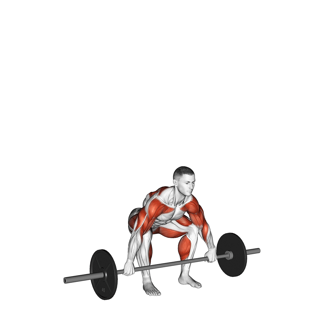 barbell snatch