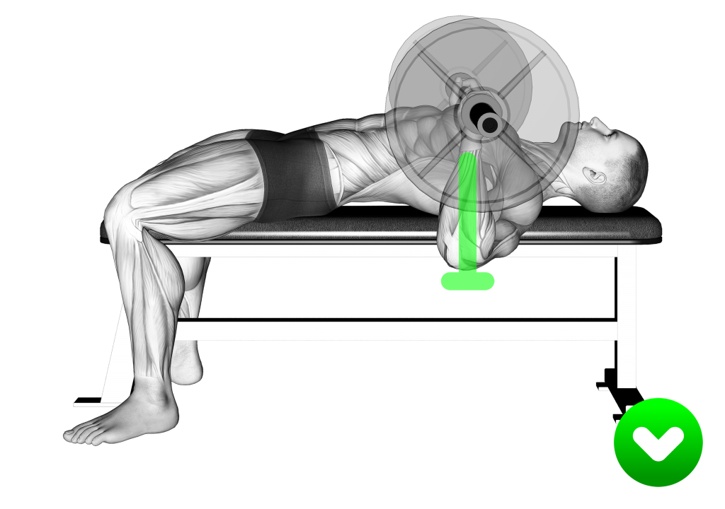 bench press correct bar path